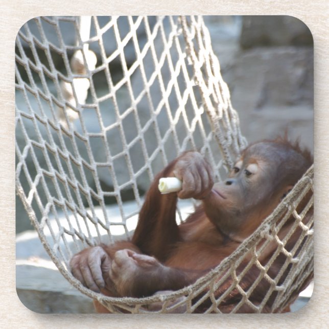 Orang-Utan Coaster (Front)