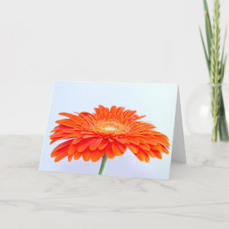 "Orange ! "5" x 7" carte de voeux, vierge