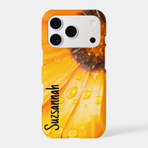 Orange African Daisy Gros plan Photo Florale