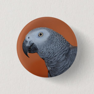 Orange African Grey Parrot Button / Badge