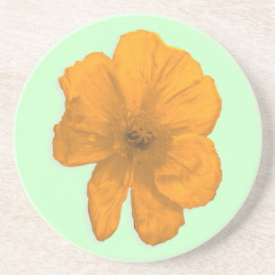 Orange Aid/ PopArt Flower Coaster