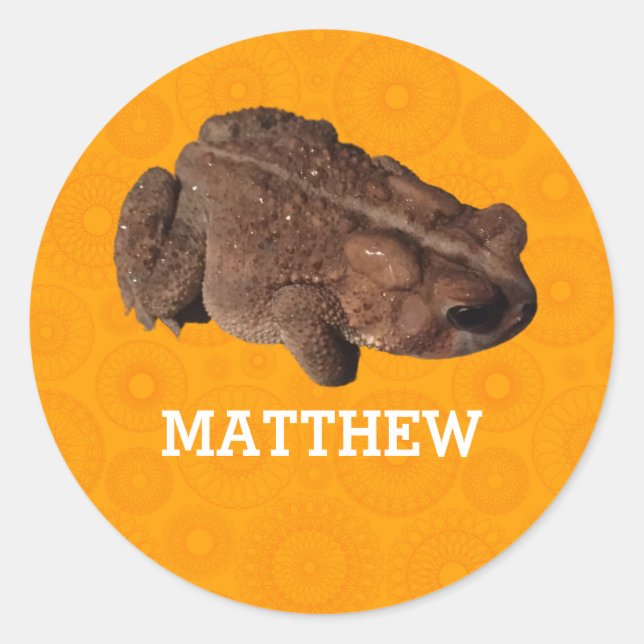 Orange American Toad Photo Personalized Classic Round Sticker (Front)