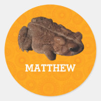 Orange American Toad Photo Personalized