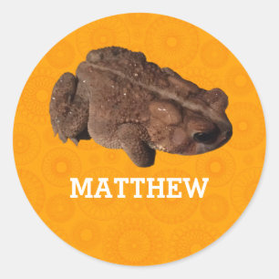 Orange American Toad Photo Personalized Classic Round Sticker