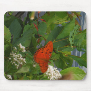Orange and Black Butterfly at the Lake Mouse Pad
