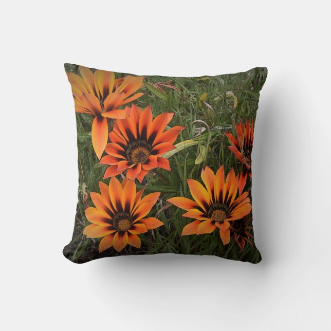 Orange and Black Gazanias Throw Pillow (Front)