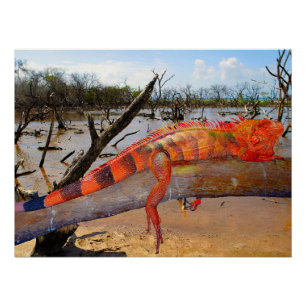 Orange and black lizard in Margarita Poster