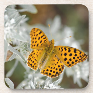 Orange and Black Spotted Butterfly Coaster