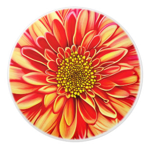 Orange and Golden Yellow Aster Flower Ceramic Knob