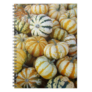 Orange and Green Autumn Harvest Gourds Notebook