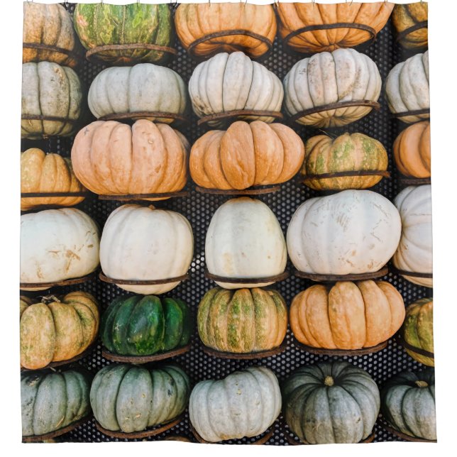 Orange and green pumpkin lot (Front)