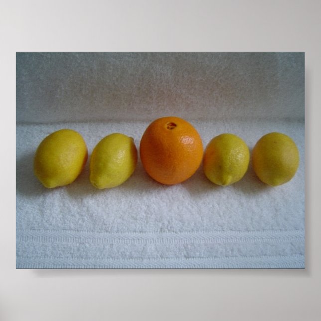 Orange and Lemons Poster (Front)