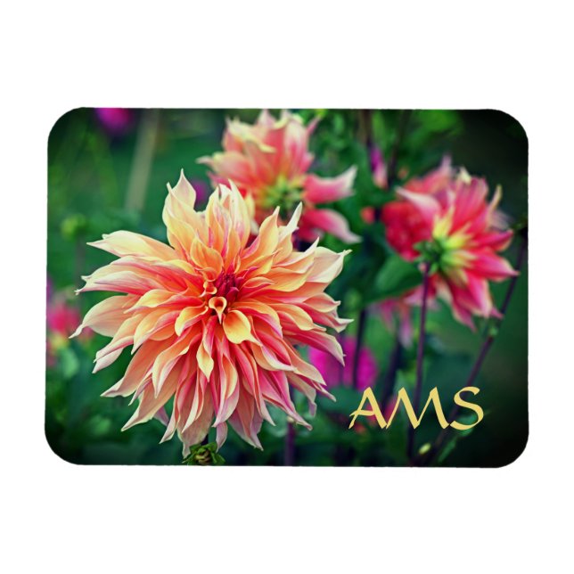 Orange and Pink Dahlia Flower Initials Magnet (Horizontal)