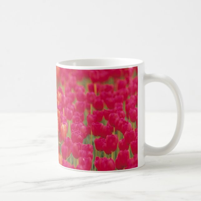 Orange and Pink Tulips Coffee Mug (Right)