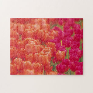 Orange and Pink Tulips Jigsaw Puzzle