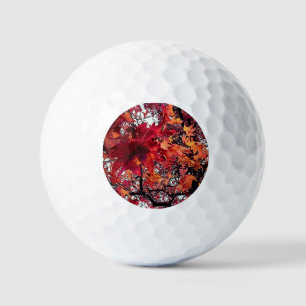 Orange and red leaves golf balls