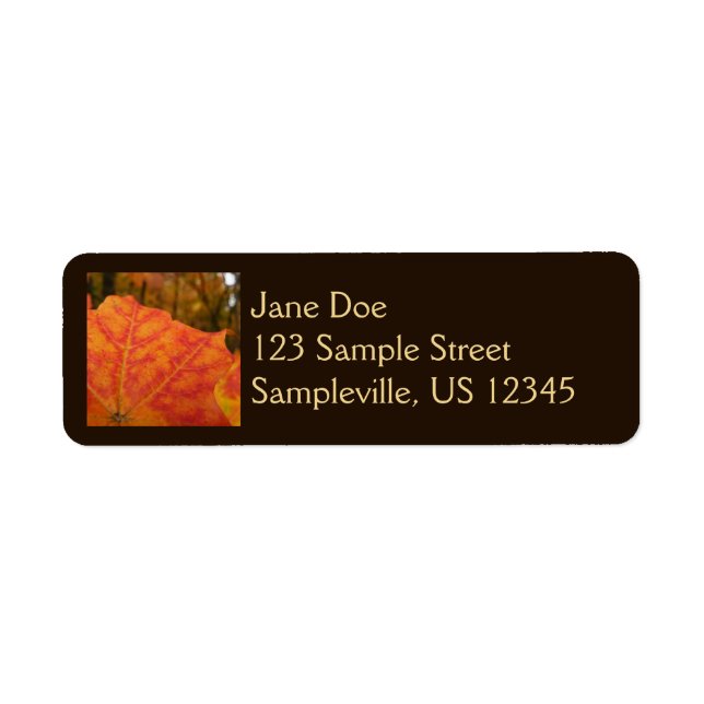 Orange and Red Maple Leaf Abstract Autumn Nature (Front)