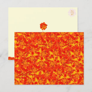 Orange and Red Marigold Floral Postcard