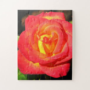 Orange and Red Rose Up Close Jigsaw Puzzle