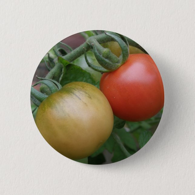 Orange and Red Tomatoes Button (Front)
