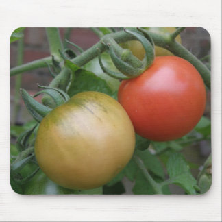 Orange and Red Tomatoes Mousepad