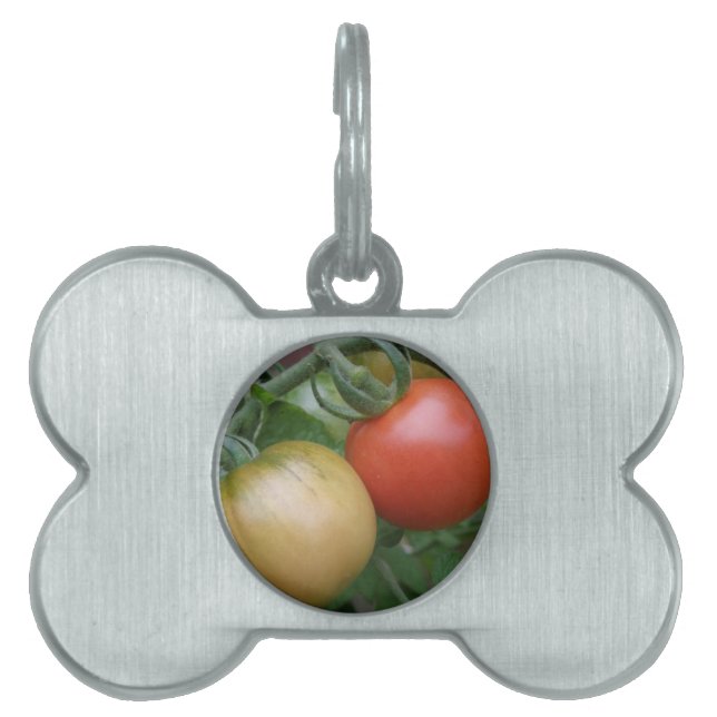Orange and Red Tomatoes Pet Tag (Front)