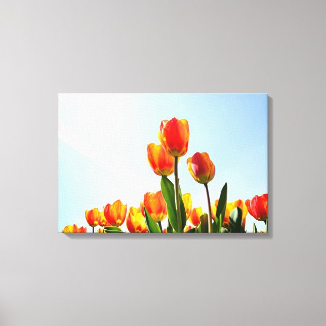 Orange and red tulips from below canvas print (Front)