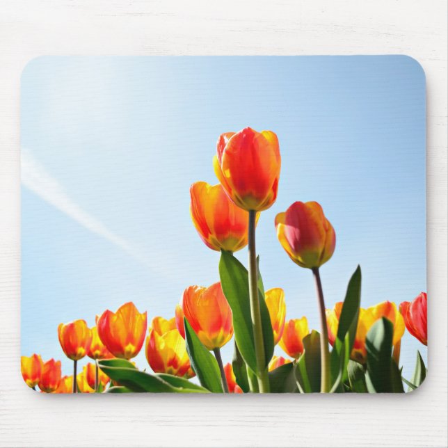 Orange and red tulips from below mouse pad (Front)
