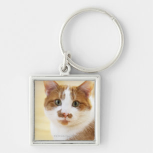 orange and white cat looking at camera keychain