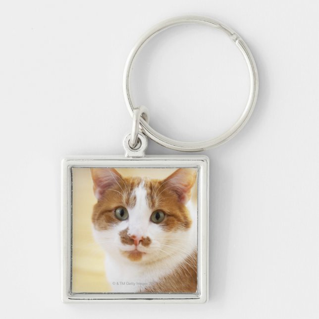 orange and white cat looking at camera keychain (Front)