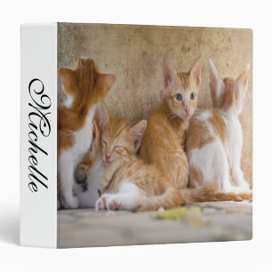 Orange and White Tabby Kitten/Add Your Pet's Photo Binder