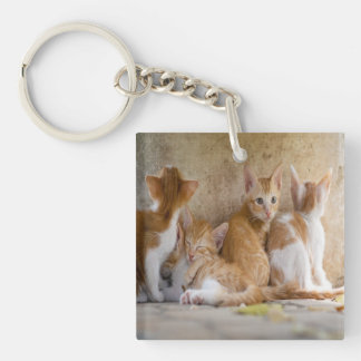 Orange and White Tabby Kitten/Add Your Pet's Photo Keychain