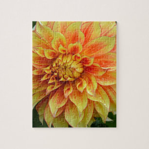 Orange and yellow dahlia flower jigsaw puzzle