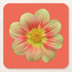 Orange and yellow dahlia flower square paper coaster