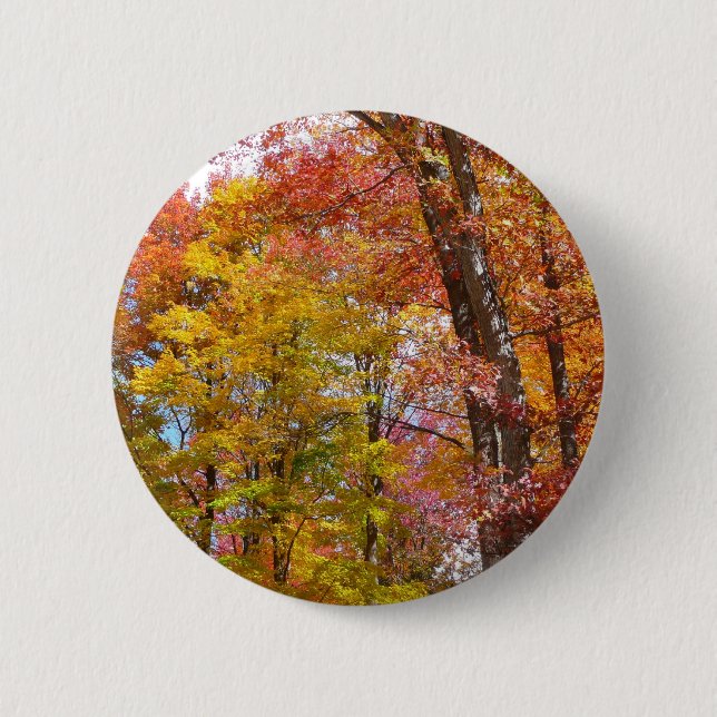 Orange and Yellow Fall Trees Autumn Photography 2 Inch Round Button (Front)