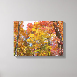 Orange and Yellow Fall Trees Autumn Photography Canvas Print