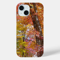 Orange and Yellow Fall Trees Autumn Photography