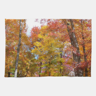 Orange and Yellow Fall Trees Autumn Photography Kitchen Towel