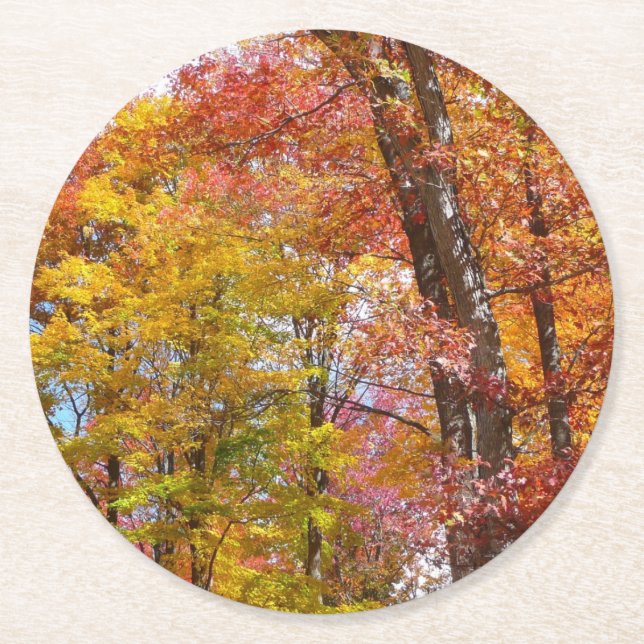 Orange and Yellow Fall Trees Autumn Photography Round Paper Coaster (Front)