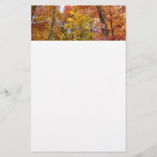 Orange and Yellow Fall Trees Autumn Photography Stationery