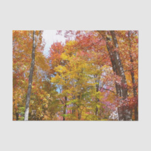 Orange and Yellow Fall Trees Autumn Photography Tissue Paper