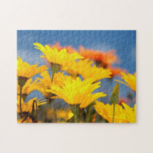 Orange And Yellow Namaqualand Daisies Jigsaw Puzzle