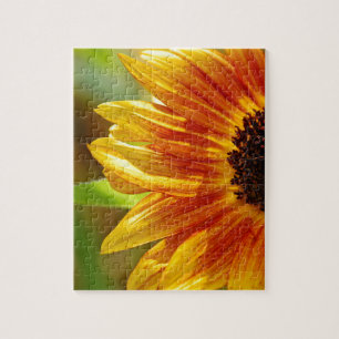Orange and yellow sunflower blossoms jigsaw puzzle