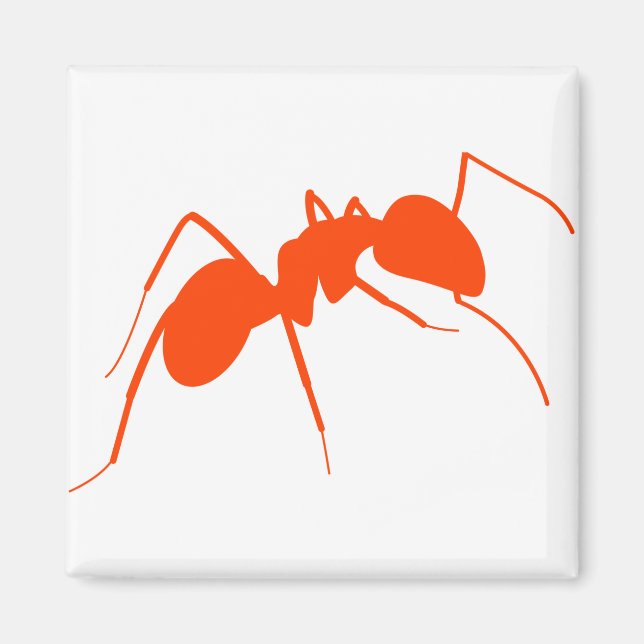 Orange Ant Magnet (Front)