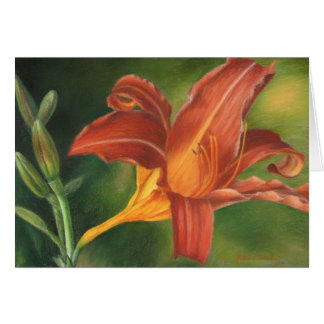 Orange Asiatic Lily