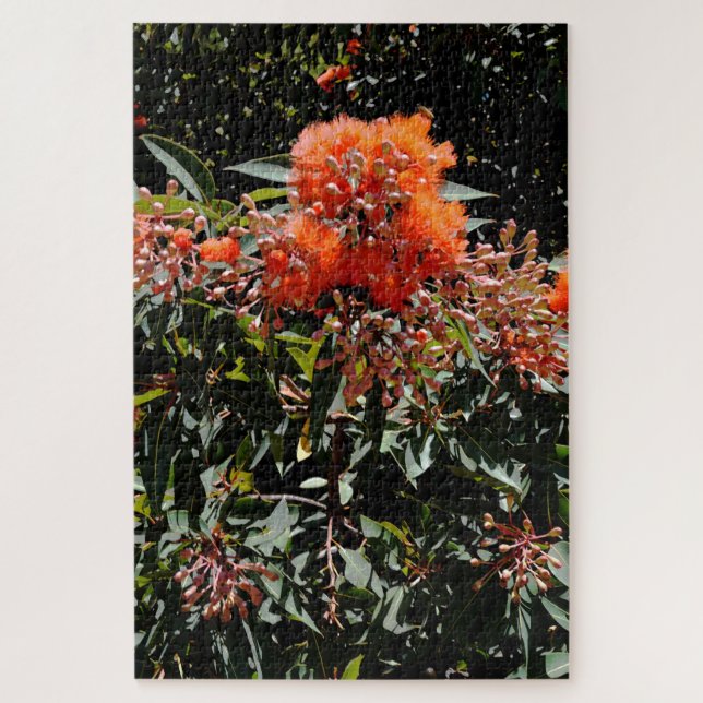 Orange Australian Banksia Flowers And Seed Pods, Jigsaw Puzzle (Vertical)