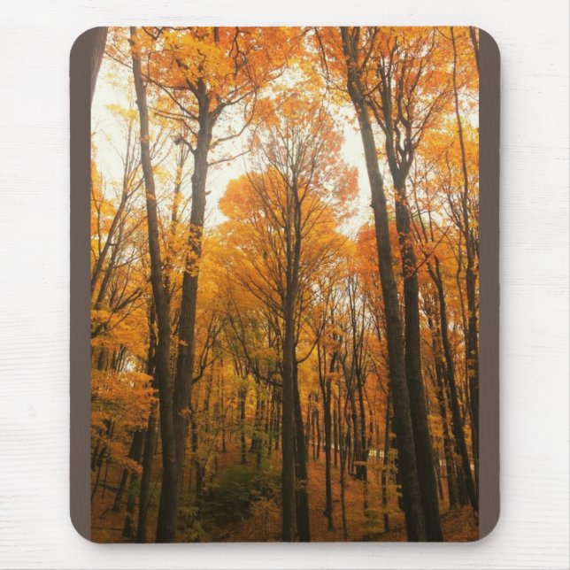 Orange Autumn Forest Mouse Pad (Front)