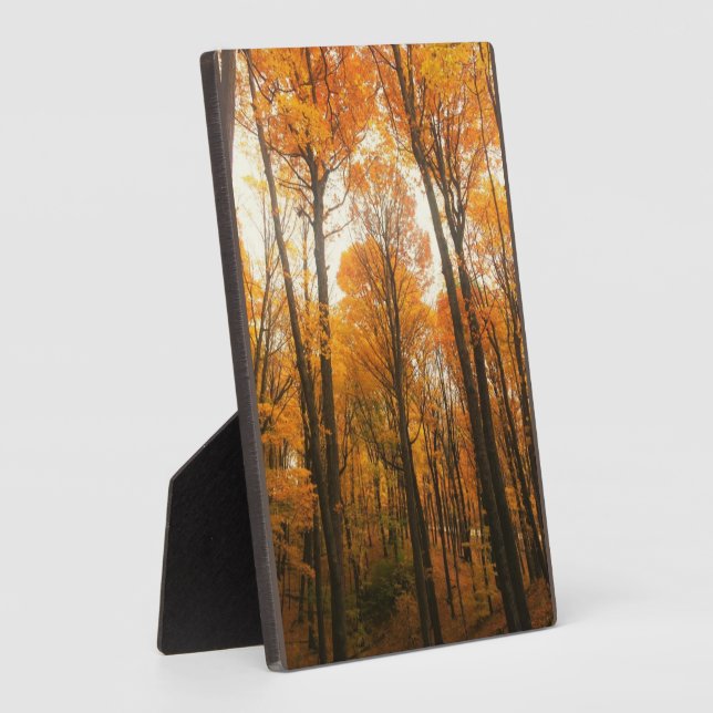 Orange Autumn Forest Plaque (Side)