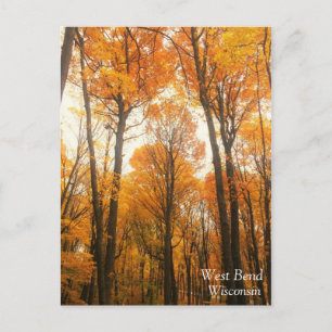 Orange Autumn Forest Postcard
