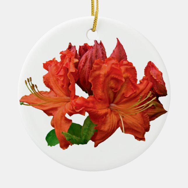 Orange Azalea Blossoms Ceramic Ornament (Front)
